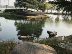 -金银湖国家城市湿地公园