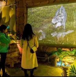 -恐龙探索乐园(磁器口店)