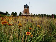 -君乐宝优致牧场