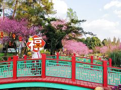 -秀丽东方