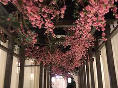 -花千醉拾季(雨花世茂店)