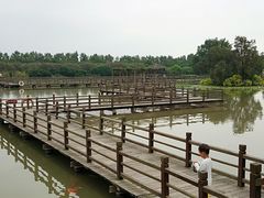 -大湾区中央湿地公园