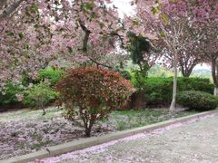 -石岛赤山风景区