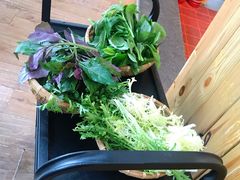 -攀枝花野菜铜火锅(万科凯德店)