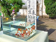-绍兴书圣故里景区