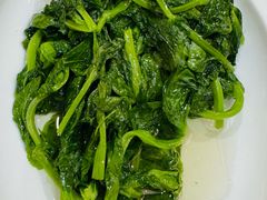 清炒豆苗-光明邨大酒家(淮海路店)
