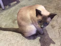 -MIKAKU(万达广场上海宝山店)