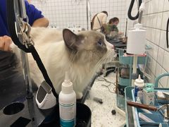 -BABIT巴比特宠物(MOMOPARK店)