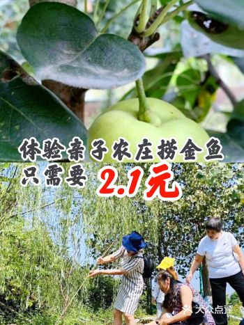 体验亲子农庄捞金鱼只需要2.1元