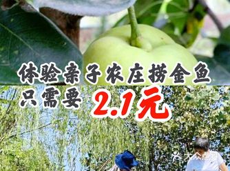 体验亲子农庄捞金鱼只需要2.1元