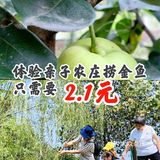 体验亲子农庄捞金鱼只需要2.1元