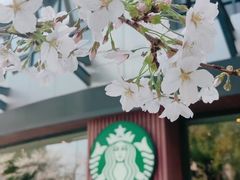 -星巴克臻选(苏州汇豪店)