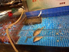-绿杨春·淮扬宴(庐山路店)