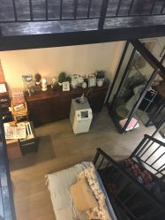 -素颜秀·纹眉·野生眉·纹唇半永久