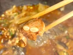 东北黑猪排骨-果松铁锅炖·柴火地锅鸡鱼