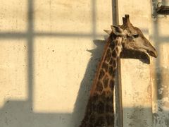 -石家庄市动物园