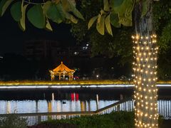 -OLD TREE老树咖啡·西餐厅(台山人工湖店)