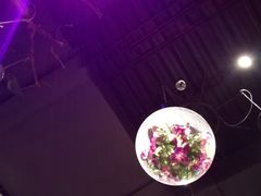 -胡桃里音乐酒馆(环亚凯瑟琳广场店)