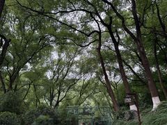 -忠山公园
