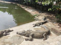 -三水森林公园