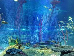 -沈阳海洋探索中心