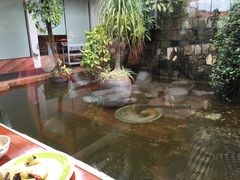 -厦门悦华酒店·绿庭主题自助餐厅