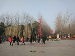 -合肥滨湖国家森林公园