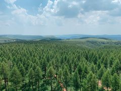 -塞罕坝国家级自然保护区