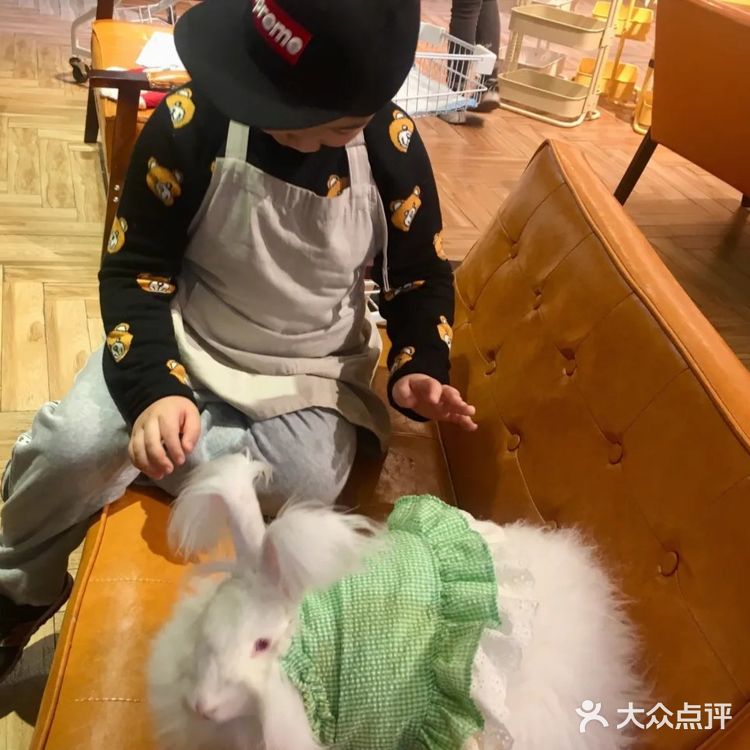 撸兔体验门票60分钟68元很划算