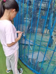 -萌宠亲子动物乐园(槐房万达店)