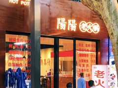 -阳阳老火锅(小南门店)