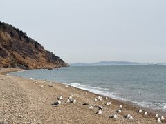 -棒棰岛宾馆景区