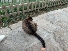 -西园寺素食(西园弄戒幢律寺店)