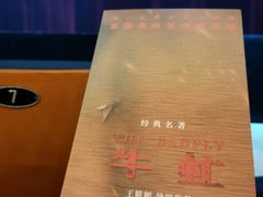 -十三号剧院
