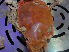 -半岛听涛蒸汽海鲜自助(K11店)