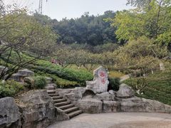 -重庆彩云湖湿地公园