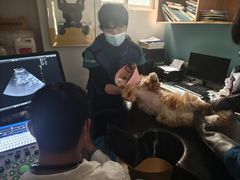 -联合动物医院(光谷诊疗中心)