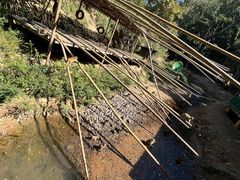 -西双版纳原始森林公园