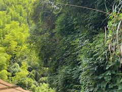 -将军关探险漂流