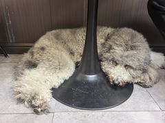 -沏点Trattoria意大利餐厅(新街口店)