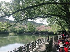 -白马涧龙池景区