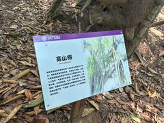 -中国科学院西双版纳热带植物园
