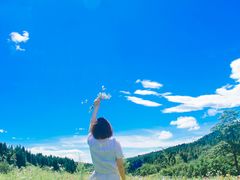 -武陵山森林公园