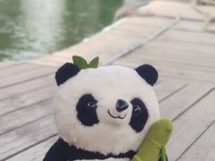-婺源月亮湾