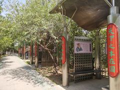 -桃花堤公园