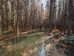 -捞渔河湿地公园