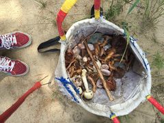 -塞罕坝国家级自然保护区