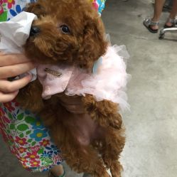 -Godhands美发设计沙龙