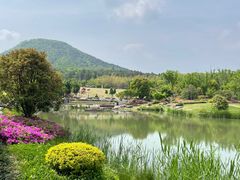 -牛首山文化旅游区