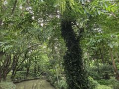 -汇龙潭